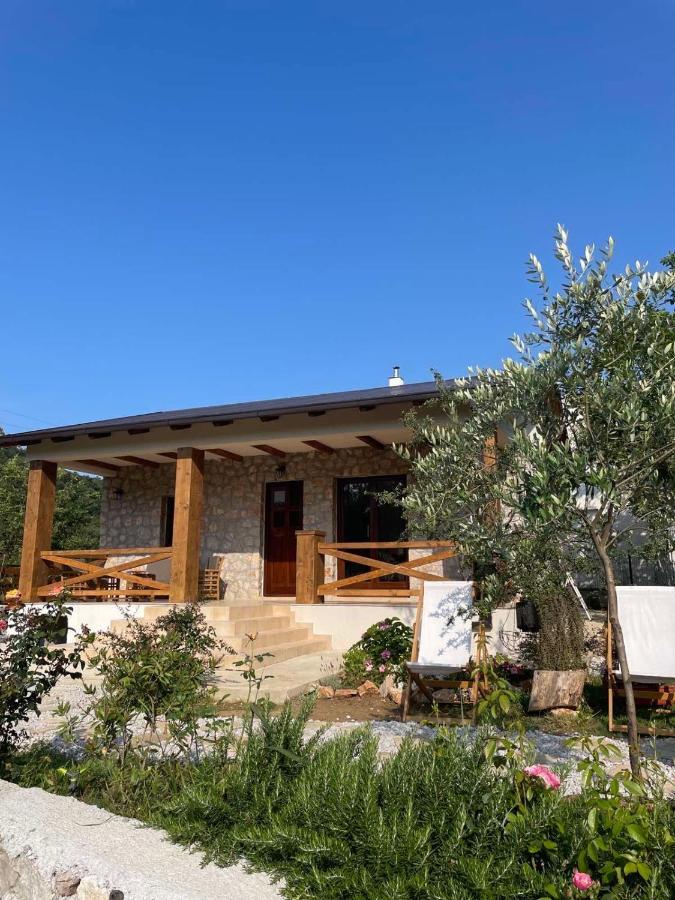 Mare Holiday home Bar