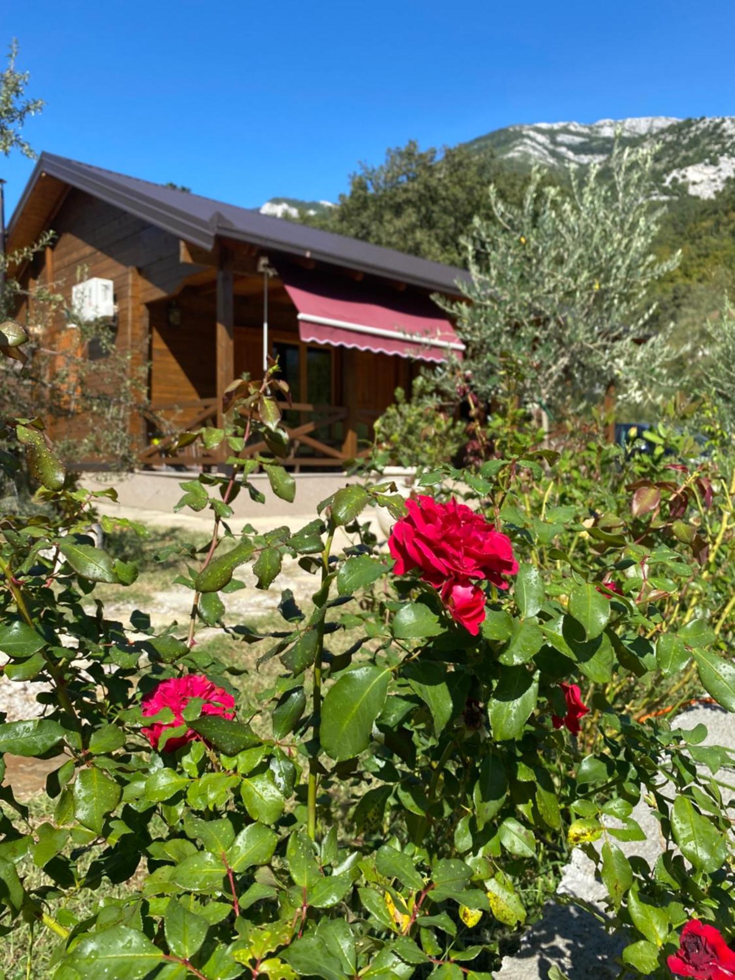 Holiday home Mare *